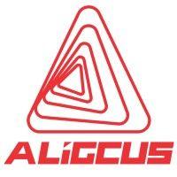 aligcus inc.