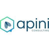 apini consulting logo image