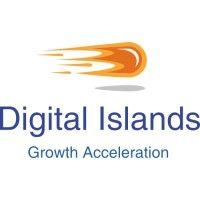 digital islands logo image