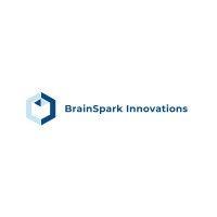 brainspark innovations logo image