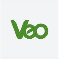 veo worldwide services logo image