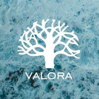 valora consultores logo image