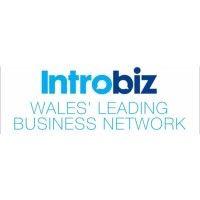 introbiz logo image