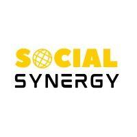 social synergy logo image