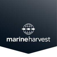 marine harvest (scotland) ltd