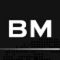 bm-strategie logo image