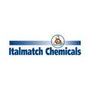 logo of Italmatch Chemicals