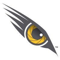 eagle eye security solutions ltd logo image