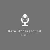 data underground studio logo image