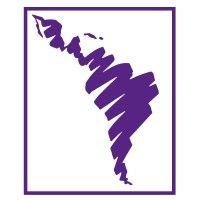 nyu stern undergraduate latin american business association (ulaba) logo image