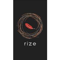 rize solutions inc. logo image