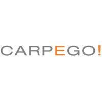 carpego gmbh logo image