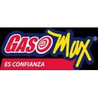 gasomax logo image