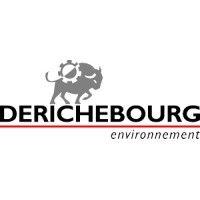 derichebourg environnement logo image