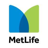 metlife egypt logo image