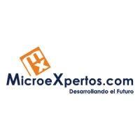 microexpertos logo image