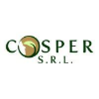 cosper s.r.l. logo image