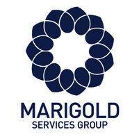 marigold services group logo image