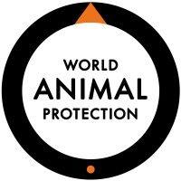 world animal protection us logo image