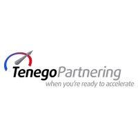 tenego partnering logo image