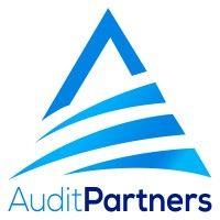 auditpartners logo image