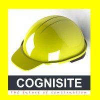 cognisite technologies pvt ltd