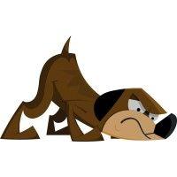 nosey dogs detection services logo image