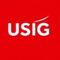 usig genève logo image