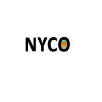 nyco environmental & dewatering corp. logo image