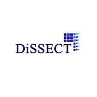 dissect: direct selling consulting