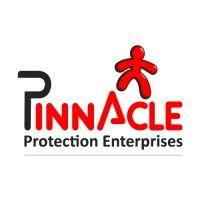 pinnacle protection enterprises logo image