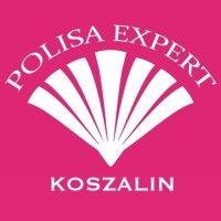 polisa expert karol śliwiński logo image