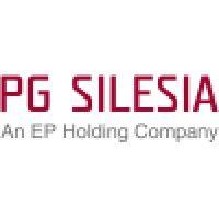 pg silesia logo image