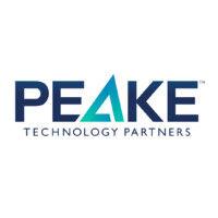 peake technology partners logo image