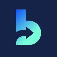 bitqin logo image