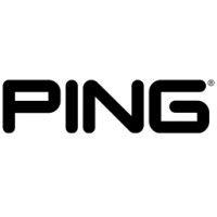 ping europe limited logo image