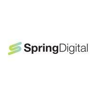 spring digital, inc. - digital marketing solutions logo image