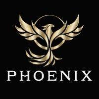 phoenix international trading (shanghai) co., ltd logo image