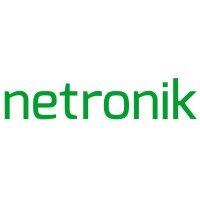 netronik logo image