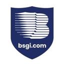 logo of Berkshire Systems Group Inc Bsgi