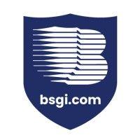 berkshire systems group inc (bsgi) logo image