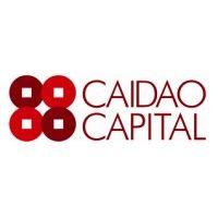 caidao capital limited logo image