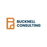 bucknell consulting group logo image