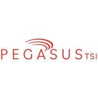 pegasustsi logo image