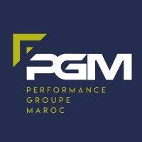 pgm holding logo image