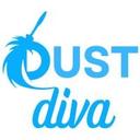 logo of Dust Diva