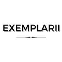 exemplarii hr consulting llp logo image