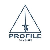 profile security services limited