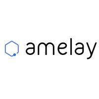 amelay logo image