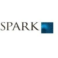 spark institutional equities private limited logo image